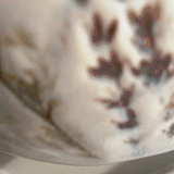 OGRLICA CC